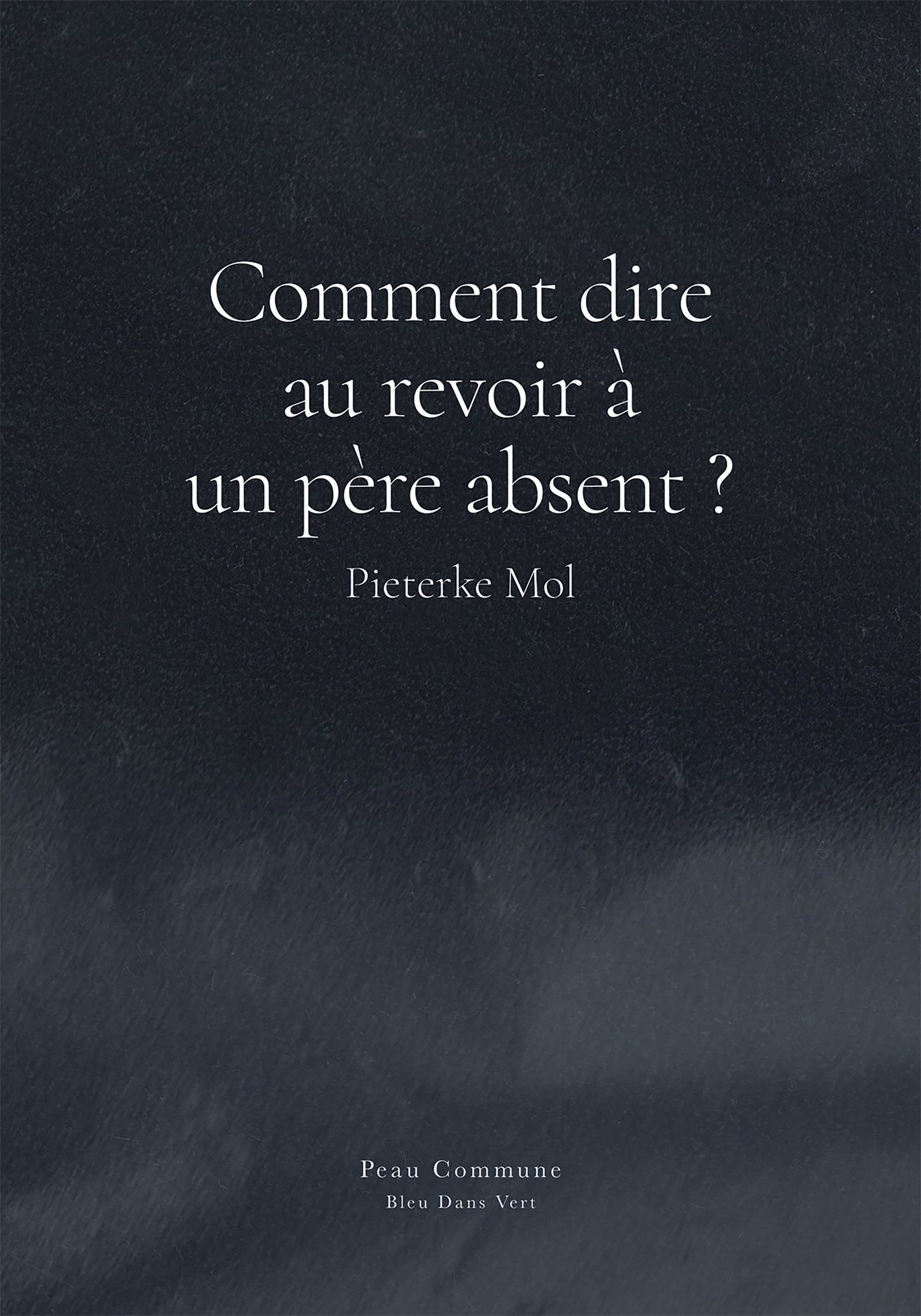 Commment Dire au Revoir à un Père Absent ?